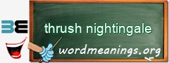 WordMeaning blackboard for thrush nightingale